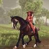aspen_northstream
