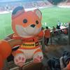 cobreloa2024partidos