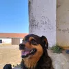 matiasmarujo