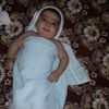 m.alamgir47