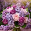 hamid_1551