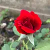 phammui021992