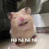 mammamchutchut