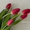 lydiaahmda2