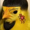 conejochiripollo