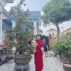 mebetao774