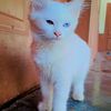 umiikhan523786
