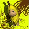 bigmonke_damien