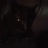 ifyouwatchdislikemenigge