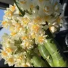 marwa.kucher4
