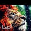 user3229506112912