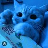 bluecat195