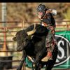 calebgose._.bullriding
