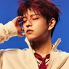 lavi_stay_
