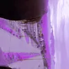 martijutg4r