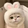 catsie_mulie