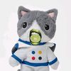 cat_no.1whiskas