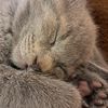 liliy.paradise