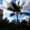 im_not_lei.1