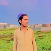 majeed253