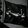 shairali7584