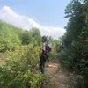 thanhtng829