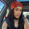 nayroc_themodel
