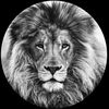 rassid1234
