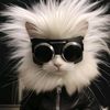 hamsterjung0