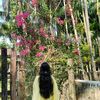 user123sanjida143