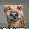 shdbshdh4