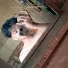 raul.pogi8