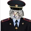 rassialol6