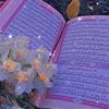 lolo.yasser20
