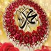 ibrahim.mangal4