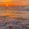 tamim._690