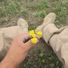 yaver_35
