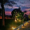 farmanda1996