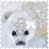 colosi_girl