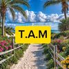 t.a.m534