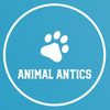AnimalAnticss