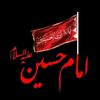 samreen.fatima7716