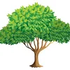 bretterstapel