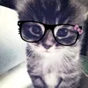 brendiss_19