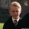 bagelcrabbe