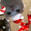 kimjiwonjz