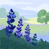 andkobaa