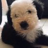 leonor_beltran