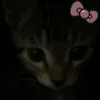sxvikawk36
