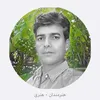 faridahmadaslami1